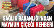Sağlık Bakanlığı ‘maymun çiçeği’ rehberi hazırladı