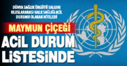 DSÖ, maymun çiçeği salgınını Uluslararası Halk Sağlığı Acil Durumu olarak niteledi
