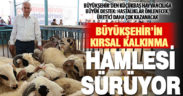 Büyükşehir’den küçükbaş hayvancılığa önemli destek