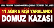 Denizli-Çivril yolunda domuza çarparak devrilen otomobildeki 5 kişi yaralandı