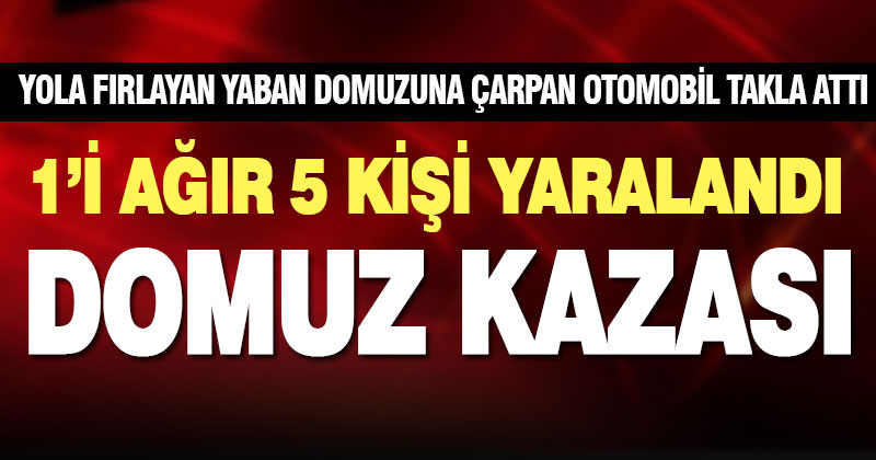 Denizli-Çivril yolunda domuza çarparak devrilen otomobildeki 5 kişi yaralandı
