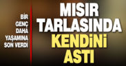 Acıpayam’da bir genç mısır tarlasında kendini asarak intihar etti