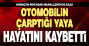 Honaz’da otomobilin çarptığı yaya hayatını kaybetti