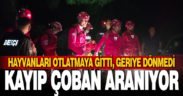 Denizli’de kaybolan çoban için arama çalışması başlatıldı