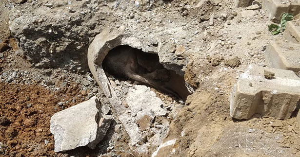 Mahsur kalan köpeği itfaiye ekipleri kurtardı