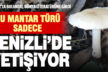 Denizli’de, Çamlık Mesireliğinde yeni bir mantar türü keşfedildi
