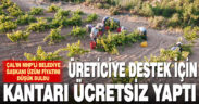 Çal Belediye Başkanı Akcan, üzüm fiyatını düşük buldu, kantarı ücretsiz yaptı
