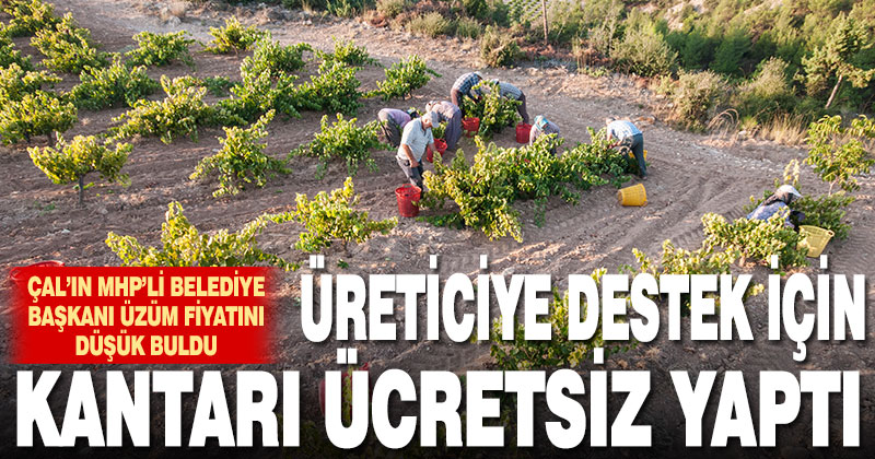 Çal Belediye Başkanı Akcan, üzüm fiyatını düşük buldu, kantarı ücretsiz yaptı