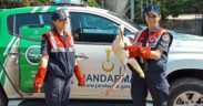 Yaralı leyleğe jandarma şefkati