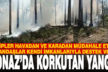 Honaz’da ormanda çıkan yangın söndürüldü