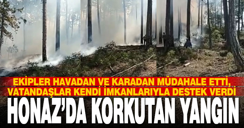 Honaz’da ormanda çıkan yangın söndürüldü