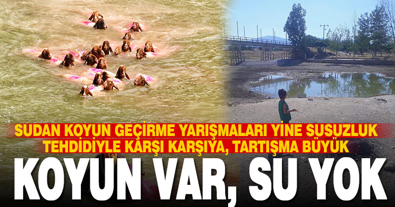 Çal’da sudan koyun geçirme yarışmaları yine susuzluk tehdidiyle karşı karşıya, tartışma büyük