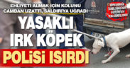 Denizli’de kovalamacayla durdurulan şüphelinin otomobilindeki köpeğin ısırdığı polis yaralandı