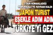 Japon turist eşekle adım adım Türkiye’yi gezdi