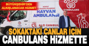 Büyükşehir’den can dostlara özel hayvan ambulansı