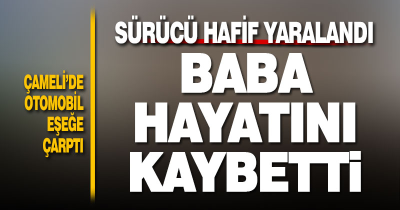 Çameli’de otomobil eşeğe çarptı, bir kişi hayatını kaybetti