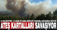 Ateş Kartalları Kale’deki orman yangınıyla mücadele ediyor