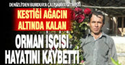 Kestiği ağacın altında kalan işçi öldü