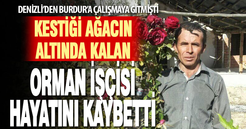 Kestiği ağacın altında kalan işçi öldü