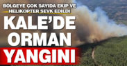 Denizli-Muğla sınırında orman yangını çıktı