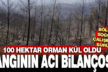 Yangının acı bilançosu