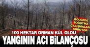 Yangının acı bilançosu