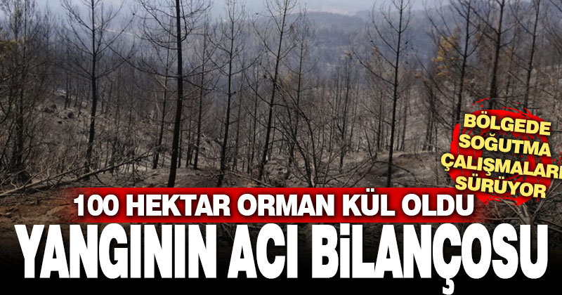 Yangının acı bilançosu