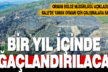 Denizli’de yanan ormanda ağaçlandırılma projelerine başlandı