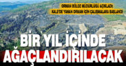 Denizli’de yanan ormanda ağaçlandırılma projelerine başlandı