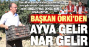 ‘Denizli Ayvası’ ve ‘Denizli Narı’ tescilleniyor