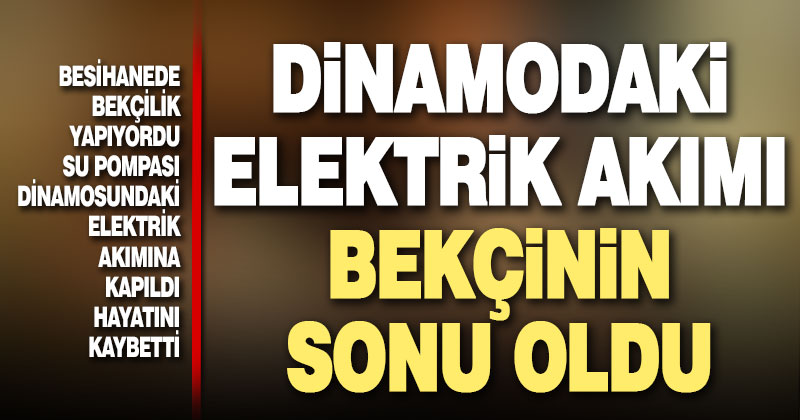 Çivril’de elektrik akımına kapılan bekçi hayatını kaybetti