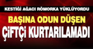 Çivril’de başına odun parçası düşen çiftçi hayatını kaybetti