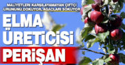 Çivrilli elma üreticisi perişan