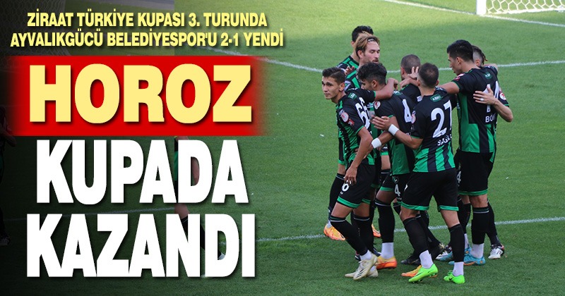Horoz, Türkiye Kupası’nda turladı