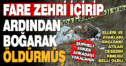 Yol kenarından bulunan kadın cesedinin kimliği belli oldu