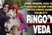 Denizli’de kaza yapan yabancı çiftin köpeğine bakan hemşireye teşekkür