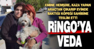 Denizli’de kaza yapan yabancı çiftin köpeğine bakan hemşireye teşekkür