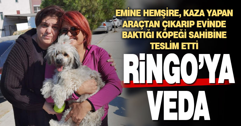 Denizli’de kaza yapan yabancı çiftin köpeğine bakan hemşireye teşekkür