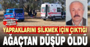 Denizli’de hayvan otlatmaya çıkan çoban boş arazide ölü bulundu