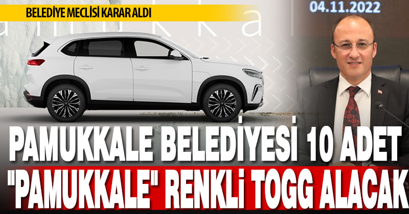 Pamukkale Belediyesi 10 Adet “Pamukkale” renkli Togg alacak