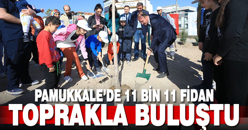 Pamukkale’de 11 bin 11 fidan toprakla buluştu