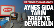 TMSF, Aynes Gıda’yı Tarım Kredi’ye devretti