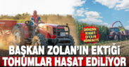 Başkan Zolan’ın ektiği tohumlar hasada dönüştü