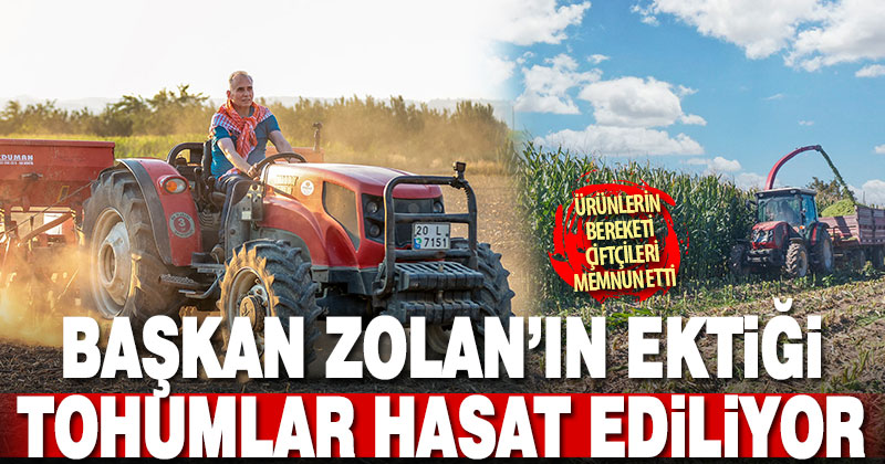 Başkan Zolan’ın ektiği tohumlar hasada dönüştü