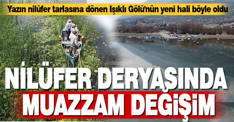 Nilüfer deryasında muazzam değişim