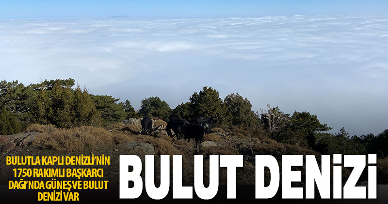 Başkarcı Dağı’nın zirvesi “bulut deniziyle” kaplandı