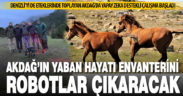 Akdağ’da yaban hayatı envanter çalışması yapılıyor