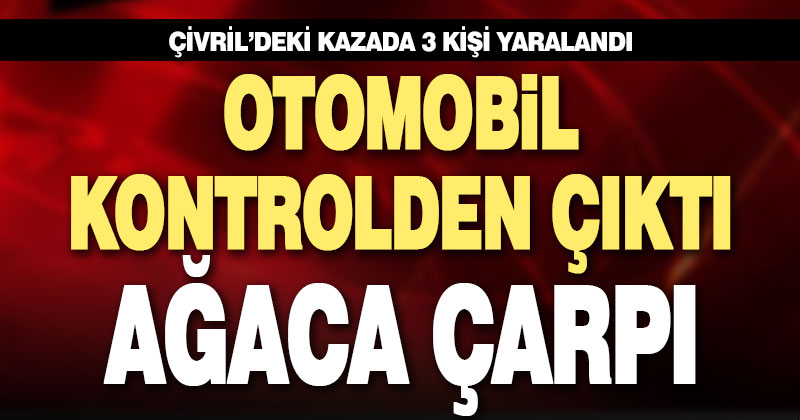 Denizli’de ağaca çarpan otomobildeki 3 kişi yaralandı