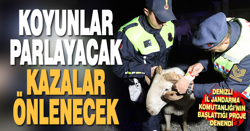 Çobanlar fosforlu yelekle hayvanlar da reflektörlü küpeyle daha kolay görülebilecek