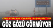 Denizli’de sis ulaşımda aksamalara yol açtı